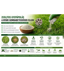 Zeolitos gyepápolás a nyári gombabetegségek ellen – 7 hatékony módszer az egészséges, ellenálló pázsitért