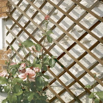 Nortene Trelliwood fa apácarács 0.5X1.5m