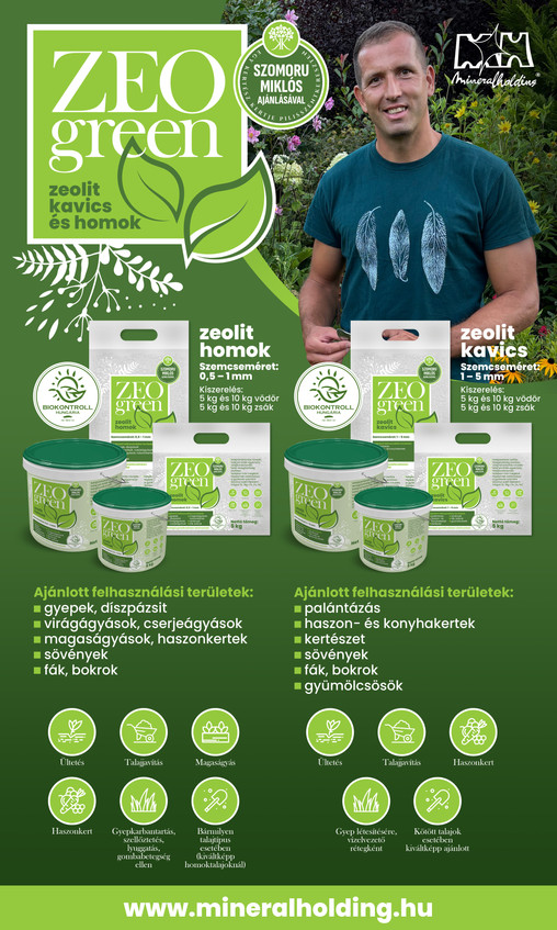 zeolit zeogreen
