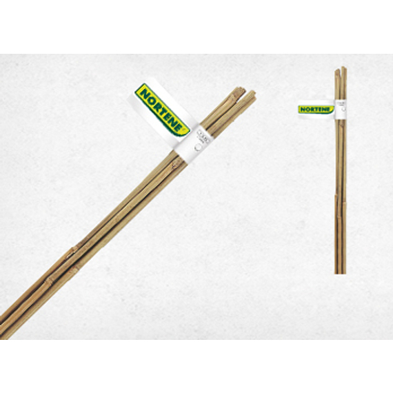 Nortene Bamboo Bambusz termesztő karó 150 cm, 2db/köteg