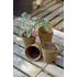 Kép 5/5 - Nortene Growing Pots tőzegcserép