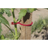 Kép 3/3 - Nortene Tomatoclip paradicsom klipsz